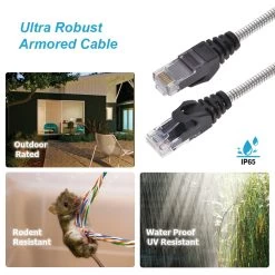 Cat6a Armored Anti-Rodent Ethernet Cable, Up To10 Gigabit -Network Cable Store 13x6 601xx v06