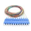 12 Fiber Pigtail, Singlemode, Blue Boot SC/UPC, 3m -Network Cable Store 15f1 00112 v02