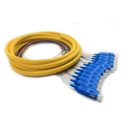 12 Fiber Distribution Pigtail, SM, SC/UPC, 3m