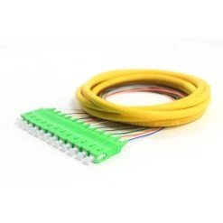 12 Fiber Distribution Pigtail, SM, SC/APC, 3m