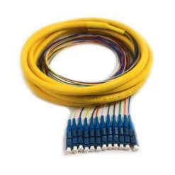 12 Fiber Distribution Pigtail, SM, LC/UPC, 3m