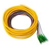 6 Fiber Distribution Pigtail, Singlemode, Green Boot, LC/APC, 3m 2 6 Fiber Distribution Pigtail, Singlemode, Green Boot, LC/APC, 3m -Network Cable Store 15f2 02206 v01