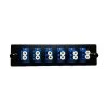 Fiber Distribution Panel Plate - 6 Blue LC/UPC Duplex Ports -Network Cable Store 61f2 01006 v01