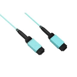 MTP 12-Strand OM4 40/100 Gigabit Type-A Fiber Optic Cable